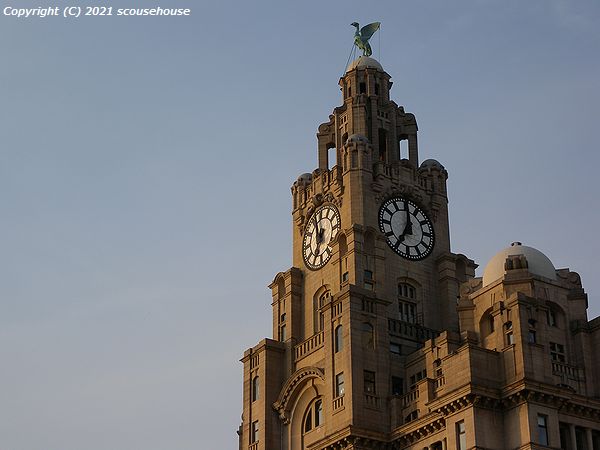 NLW Photo No.779