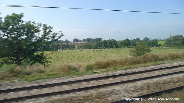 NLW Photo No.790