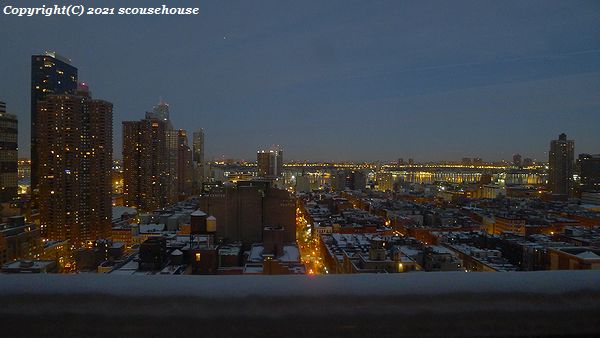 NLW Photo No.798