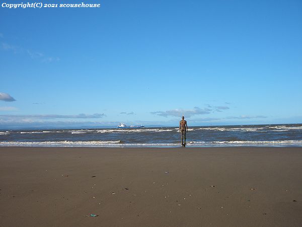 NLW Photo No.801