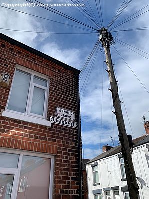 NLW Photo No.854
