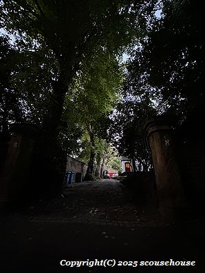 NLW Photo No.885