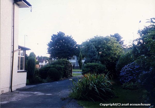 NLW Photo No.909